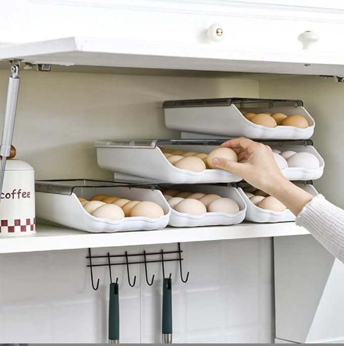 Organizador De Huevos Tapa Transparente